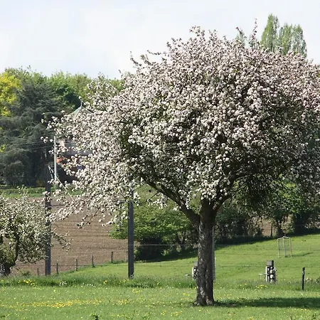 Aux Deux Bouleaux 公寓 珀潘斯特尔